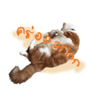 Emo Cats（個別スタンプ：4）