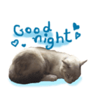 Emo Cats（個別スタンプ：13）