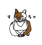 nifty cat（個別スタンプ：1）