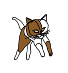 nifty cat（個別スタンプ：4）