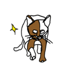 nifty cat（個別スタンプ：5）