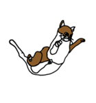nifty cat（個別スタンプ：6）