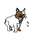 nifty cat（個別スタンプ：8）