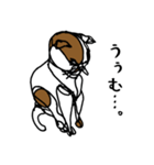nifty cat（個別スタンプ：9）