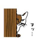 nifty cat（個別スタンプ：12）