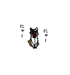 nifty cat（個別スタンプ：13）