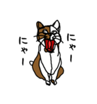nifty cat（個別スタンプ：14）