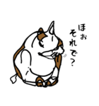 nifty cat（個別スタンプ：16）