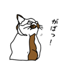 nifty cat（個別スタンプ：17）