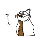 nifty cat（個別スタンプ：18）