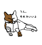 nifty cat（個別スタンプ：20）