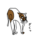 nifty cat（個別スタンプ：21）
