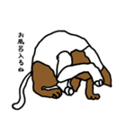 nifty cat（個別スタンプ：24）