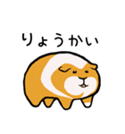 暮らしに寄り添うモルモット（個別スタンプ：4）