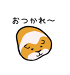 暮らしに寄り添うモルモット（個別スタンプ：8）