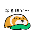 暮らしに寄り添うモルモット（個別スタンプ：13）