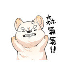 Shiba inu expressive face（個別スタンプ：4）