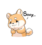 Shiba inu expressive face（個別スタンプ：5）