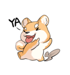 Shiba inu expressive face（個別スタンプ：6）