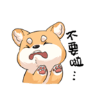 Shiba inu expressive face（個別スタンプ：8）