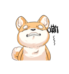 Shiba inu expressive face（個別スタンプ：9）