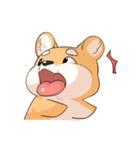 Shiba inu expressive face（個別スタンプ：10）