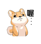 Shiba inu expressive face（個別スタンプ：14）