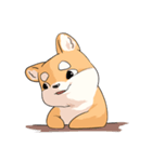 Shiba inu expressive face（個別スタンプ：17）