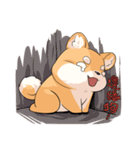 Shiba inu expressive face（個別スタンプ：20）