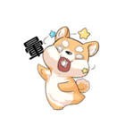 Shiba inu expressive face（個別スタンプ：22）