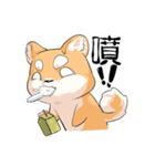 Shiba inu expressive face（個別スタンプ：23）