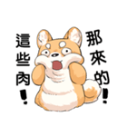 Shiba inu expressive face（個別スタンプ：25）