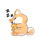 Shiba inu expressive face（個別スタンプ：26）