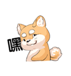 Shiba inu expressive face（個別スタンプ：27）