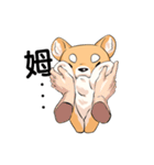 Shiba inu expressive face（個別スタンプ：32）