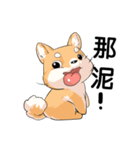 Shiba inu expressive face（個別スタンプ：34）