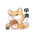 Shiba inu expressive face（個別スタンプ：35）