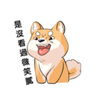 Shiba inu expressive face（個別スタンプ：38）