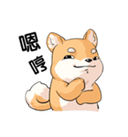 Shiba inu expressive face（個別スタンプ：39）