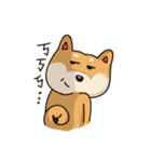 Tian-guo the Shiba（個別スタンプ：12）