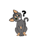 Crybaby the Cat（個別スタンプ：3）