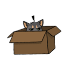 Crybaby the Cat（個別スタンプ：6）