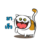 Somsee fat cat（個別スタンプ：6）