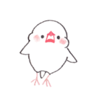 白文鳥ぴのといっしょ1（個別スタンプ：9）