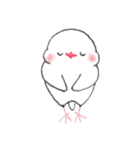 白文鳥ぴのといっしょ1（個別スタンプ：12）