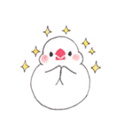 白文鳥ぴのといっしょ1（個別スタンプ：13）