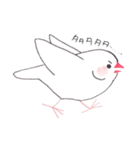 白文鳥ぴのといっしょ1（個別スタンプ：20）