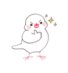 白文鳥ぴのといっしょ1（個別スタンプ：30）