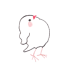 白文鳥ぴのといっしょ1（個別スタンプ：34）