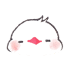 白文鳥ぴのといっしょ1（個別スタンプ：39）